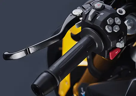 Cruise Control of TVS RTR 310 Motorcycle